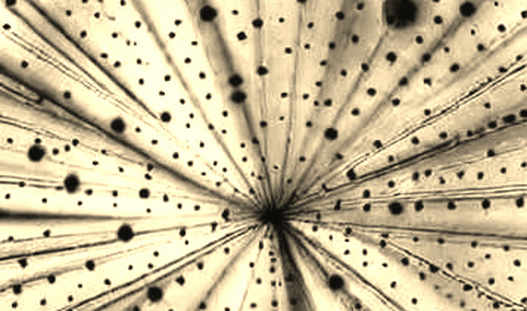 The $70K Mirage: Why Bitcoin's 'Demand Recovery' Smells Like a Liquidity Trap