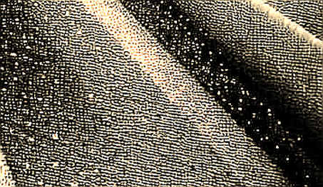 NovaX’s AGI Pivot: A Narrative Bandage on a Hemorrhaging Protocol