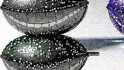 The Silence After the Blob: Why Post-Dencun Rollups Are Already Fracturing The Silence After the Blob: Why Post-Dencun Rollups Are Already Fracturing