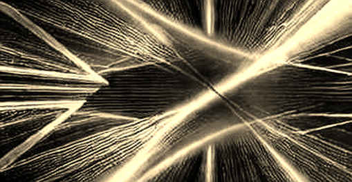 The Kamianske Strike Is Not the Signal. The Policy Response Is.